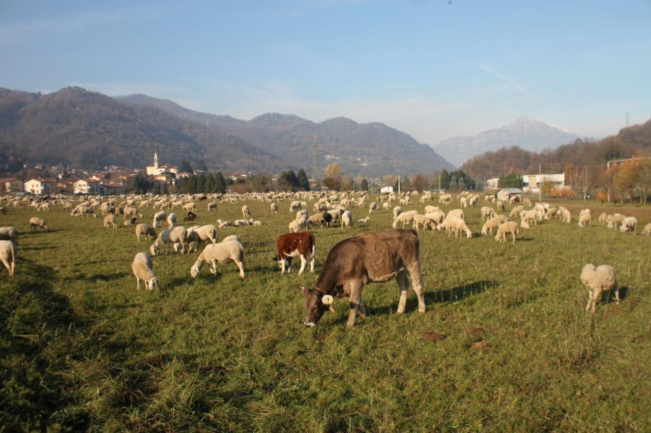 Affittacamere Amata Valgre Affittacamere, Comfort E Pulizia Eccezionali!! 3*